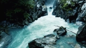 thumbnail of medium Batch Upload Test Fabi 5